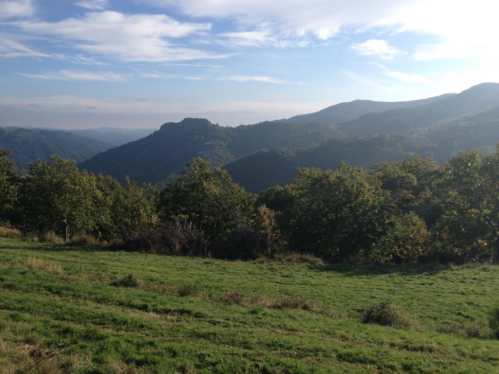 châtaigneraie en ardèche