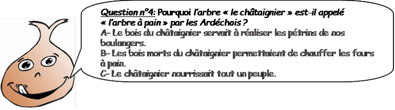 L'arbre à pain?