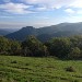 châtaigneraie en ardèche